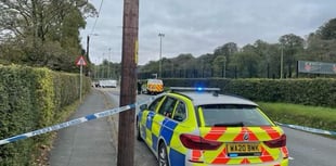 One person suffers serious injuries following Tavistock collision