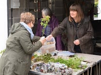 Tree hub at Lydford offers free specimens for gardens