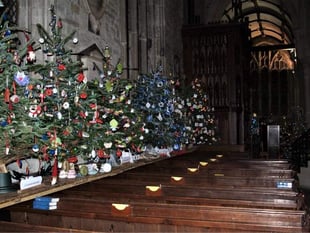 Tavistock Christmas Tree Festival returns next week