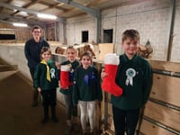 Christmas treats for ponies in need