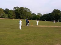 Opportunities at Tavistock for junior cricketers