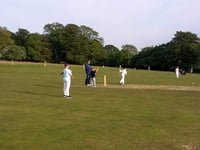 Opportunities at Tavistock for junior cricketers