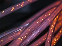 Broadband webinars to coach volunteers into supporting their communities in West Devon declared a success