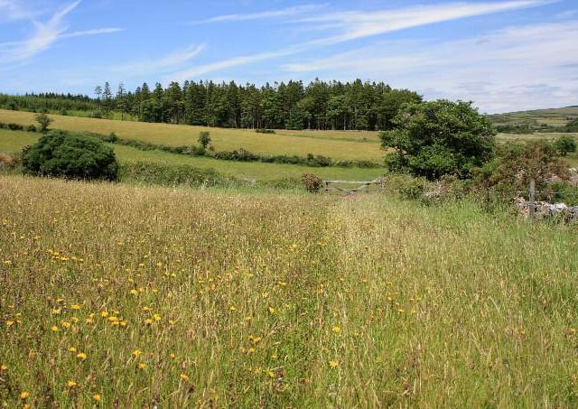 Is greater protection for Dartmoor on the cards following the rise of anti social behaviour during the pandemic?