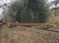 Storm Eunice: All trains suspended from Penzance to Paddington for the rest of the day
