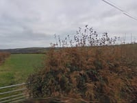 Plan for village homes in Harrowbarrow turned down