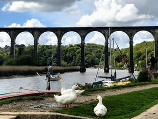 Calstock elect new parish councillors