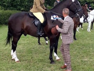 Young Lydford rider enjoys success at show