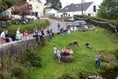 Huckworthy Bridge rewilding branded ‘a total mess