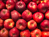 Apple Fest has been postponed