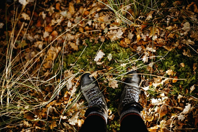 Free sensory walk tomorrow