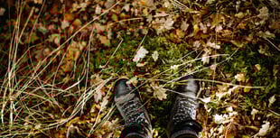 Free sensory walk tomorrow