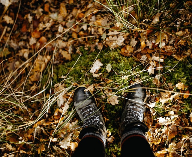 Free sensory walk tomorrow