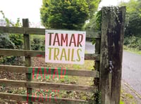 Toboggan ride  plan for valley withdrawn