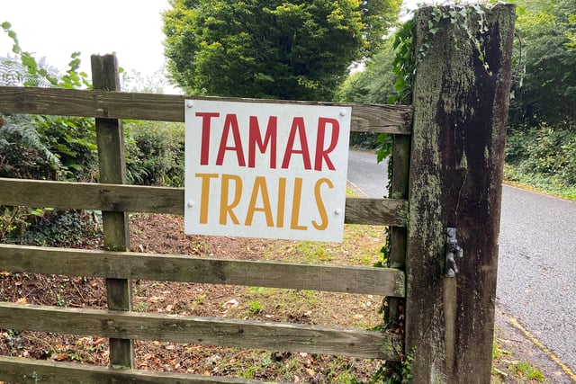 Toboggan ride  plan for valley withdrawn