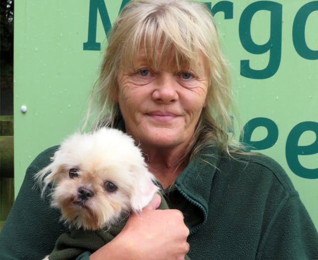 Amazing response after huge dog rescue