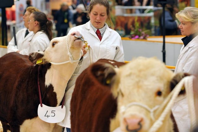 Agrifest returns to Westpoint