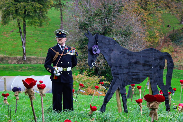 
Battling On poppies