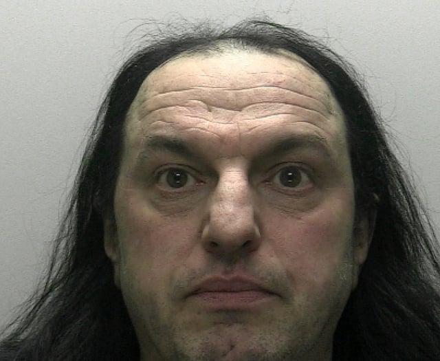 Serial sex offender get suspended jail sentence