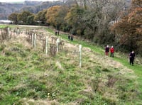 AONB walk at South Hooe