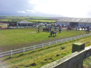 Horses back on track after festive break