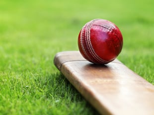 Cricket: Whitchurch firsts give good show at Shaldon