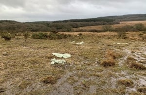 Suspended prison sentence for farmer who grazed cattle on SSSI site