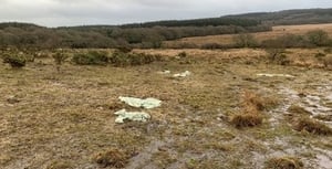 Suspended prison sentence for farmer who grazed cattle on SSSI site