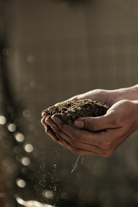 gardening