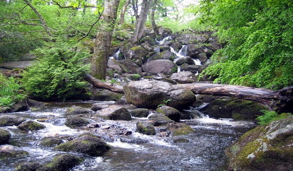 Becky Falls earns place in top UK waterfall walks list