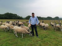 MP welcomes moor funds