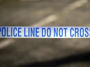 Tavistock man arrested over girls' sexual assault 