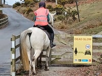 Drivers in Devon asked to 'rein' in their speed for horses 