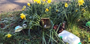 Letter: poet's ode to Tidy Tavi