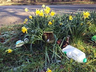 Letter: poet's ode to Tidy Tavi