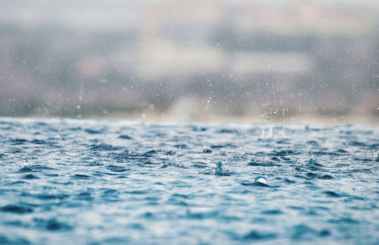 Photo by Max Rovensky on Unsplash