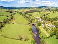River Tamar project to safeguard endangered fish criticised