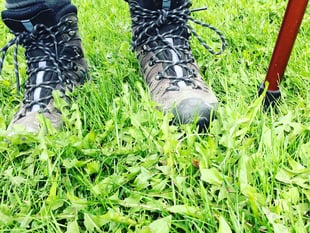 Join in with a community walk