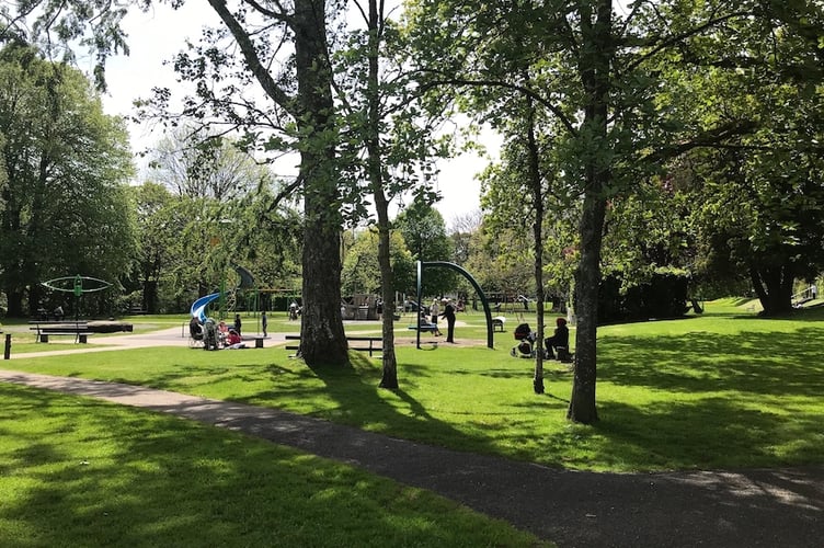 Meadows