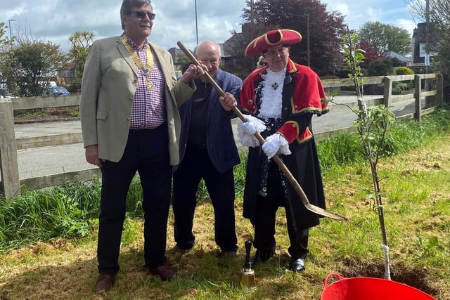 Coronation tree planting the first step towards orchard for town