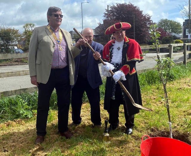 Coronation tree planting the first step towards orchard for town