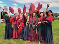 Join us for Callington MayFest 