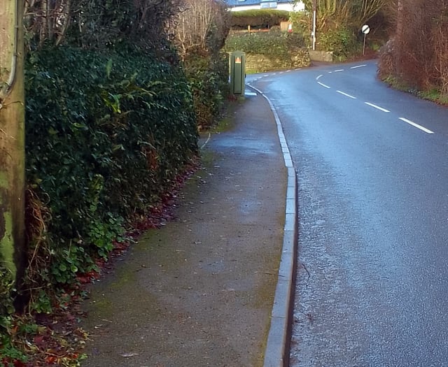 Road safety improvements put forward for local village