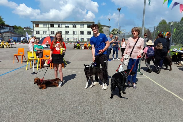 Dog show hailed a barking success
