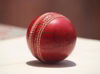 Cricket: Tavi force Thorverton to work despite poor score