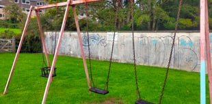 New-look play park plan