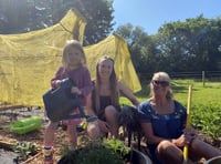 Popular allotments’ support plea