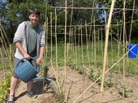 New allotments’ social benefits