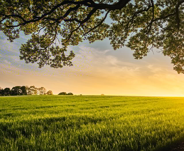 Leading local farmer found dead