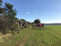 Summer walks in the Tamar Valley